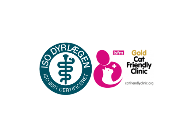 Certificeringer hos Dyrehospitalet Gråsten og Sønderborg: ISO 9001-certificeret dyrlæge og Gold Cat Friendly Clinic (ISFM)