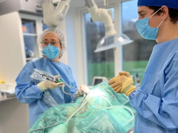 Dyrlæger udfører laparoskopisk sterilisation hos Dyrehospitalet Gråsten og Sønderborg – kikkertkirurgi og sterilisation for hund og kat