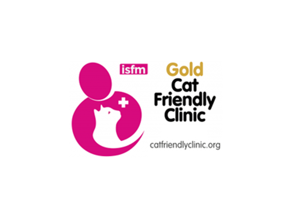 Cat Friendly Clinic Gold-certificering for Dyrehospitalet Gråsten og Sønderborg