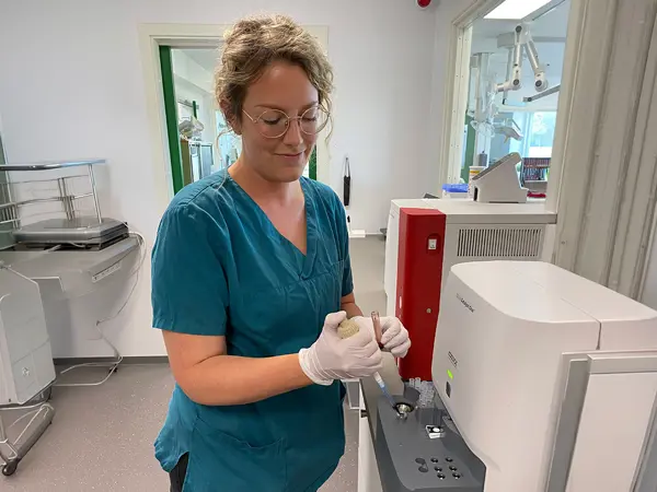 Dyrlæge udfører blodanalyse hos Dyrehospitalet Gråsten og Sønderborg – blodprøve og diagnostik for hund og kat