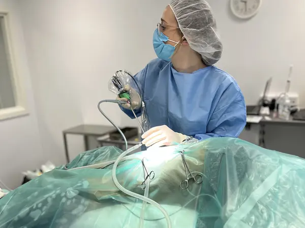 Dyrlæge udfører operation på hund hos Dyrehospitalet Gråsten og Sønderborg – kirurgi og operation for hund