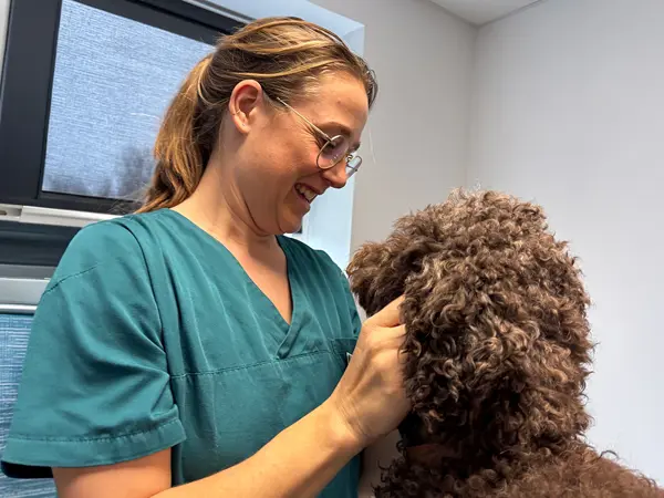 Dyrlæge undersøger hund hos Dyrehospitalet Gråsten og Sønderborg – sundhedstjek og dyrlægebehandling for hund